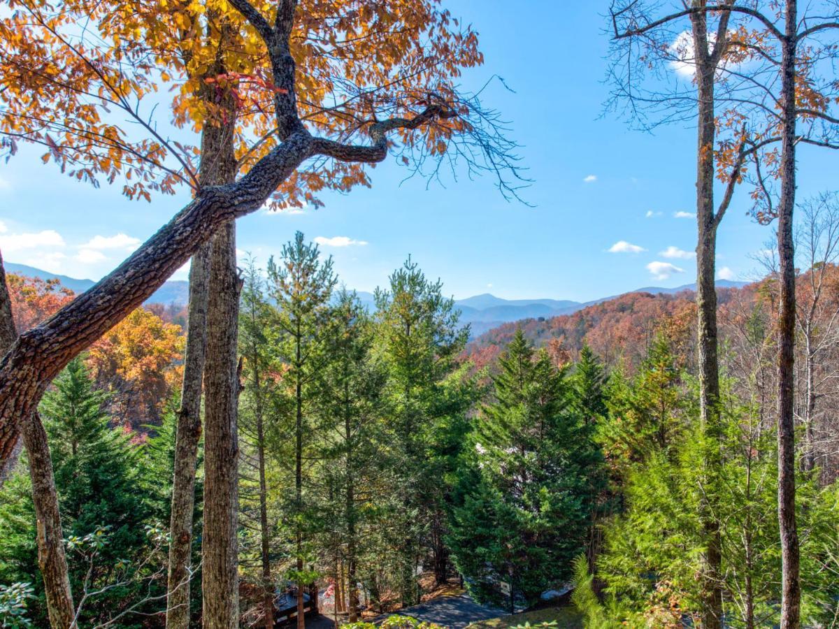 Cubs Corner Villa Gatlinburg Kültér fotó